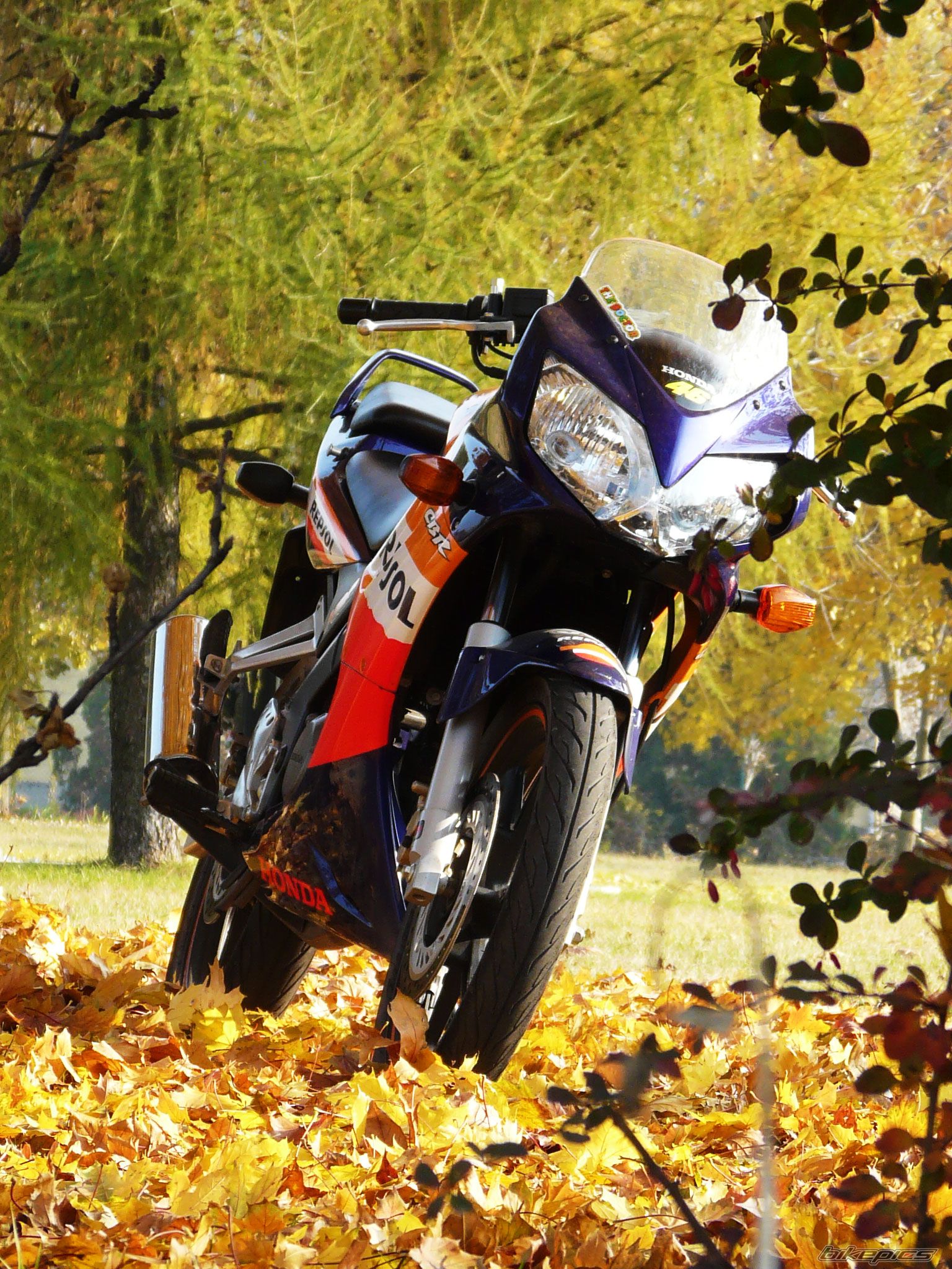 2005 HONDA CBR 125 | Picture 2296563 motorcycle photo