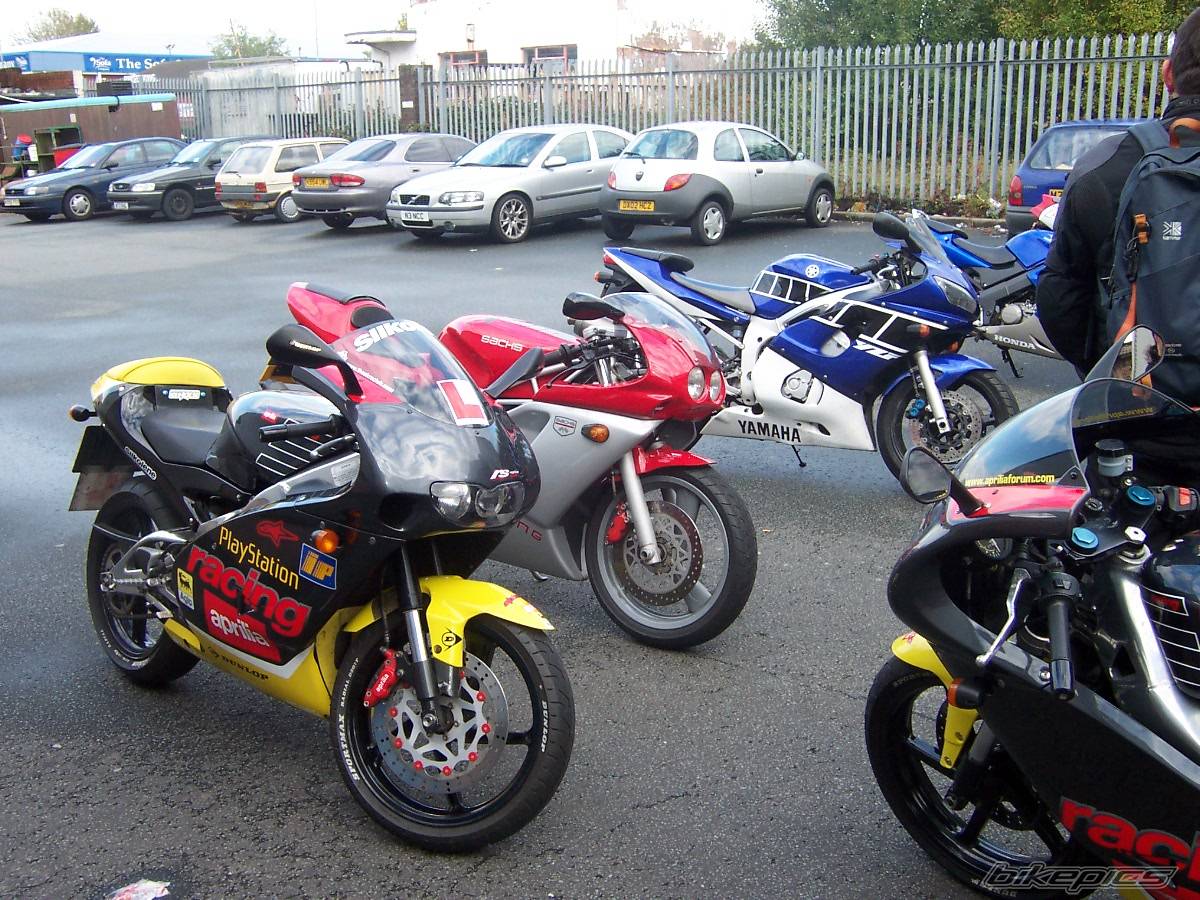 2004 APRILIA RS 125 | Picture 229666 motorcycle photo