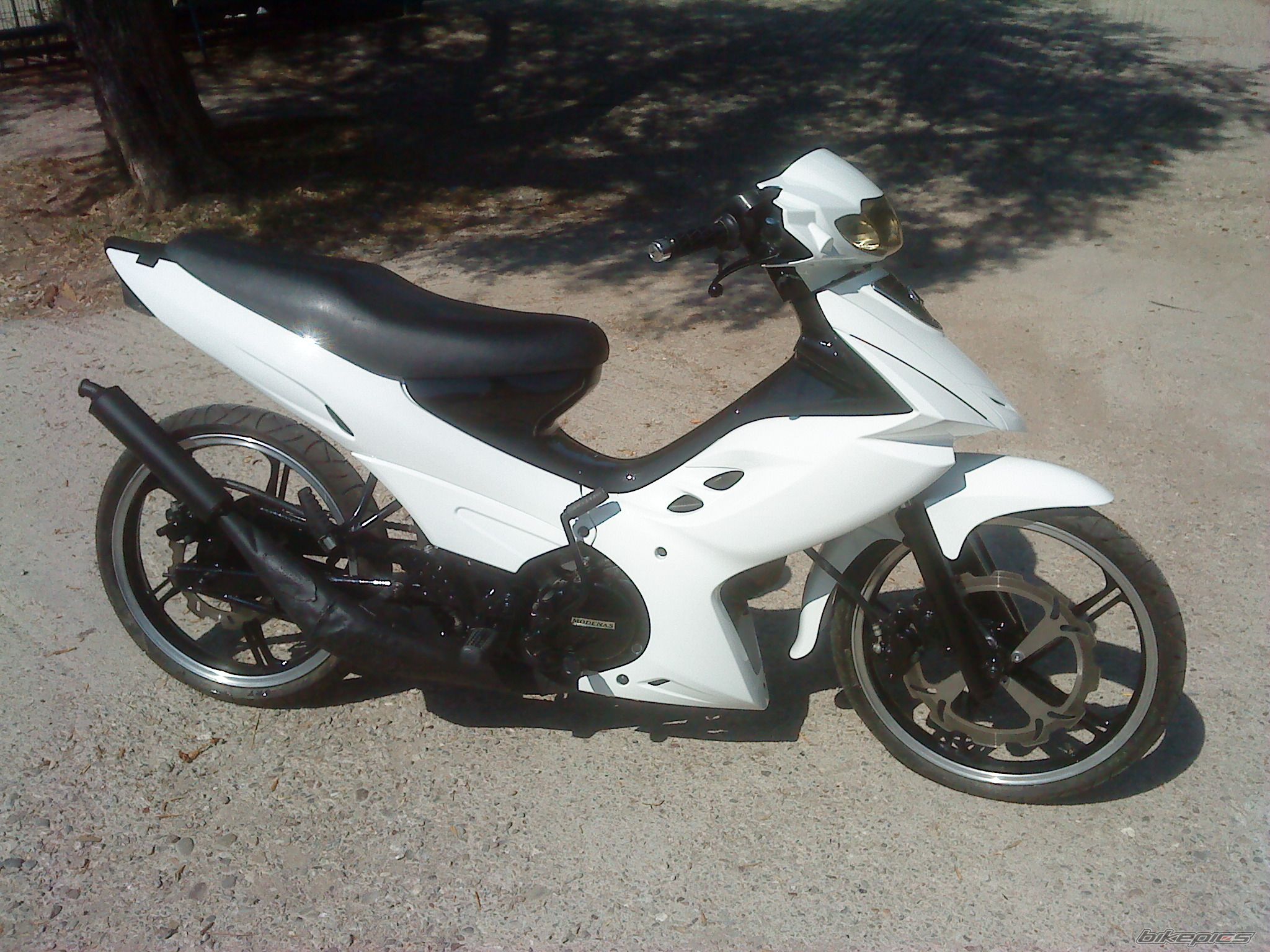 2012 MODENAS DYNAMIC 125 | Picture 2297537 motorcycle photo
