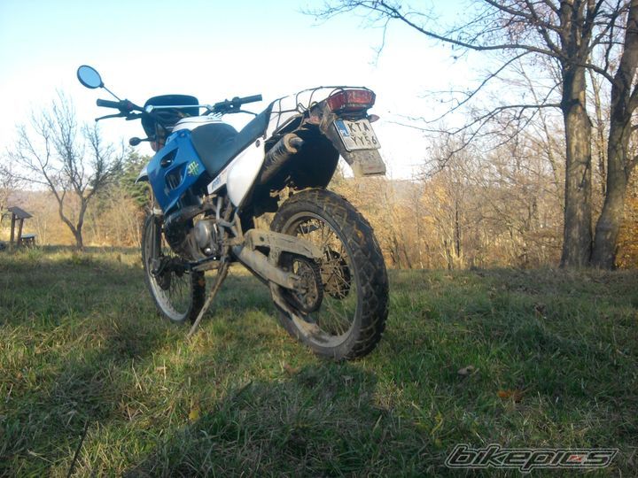 1999 DERBI SENDA R 50 | Picture 2298112 motorcycle photo