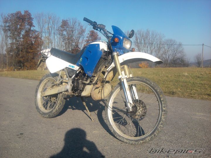 1999 DERBI SENDA R 50 | Picture 2298115 motorcycle photo
