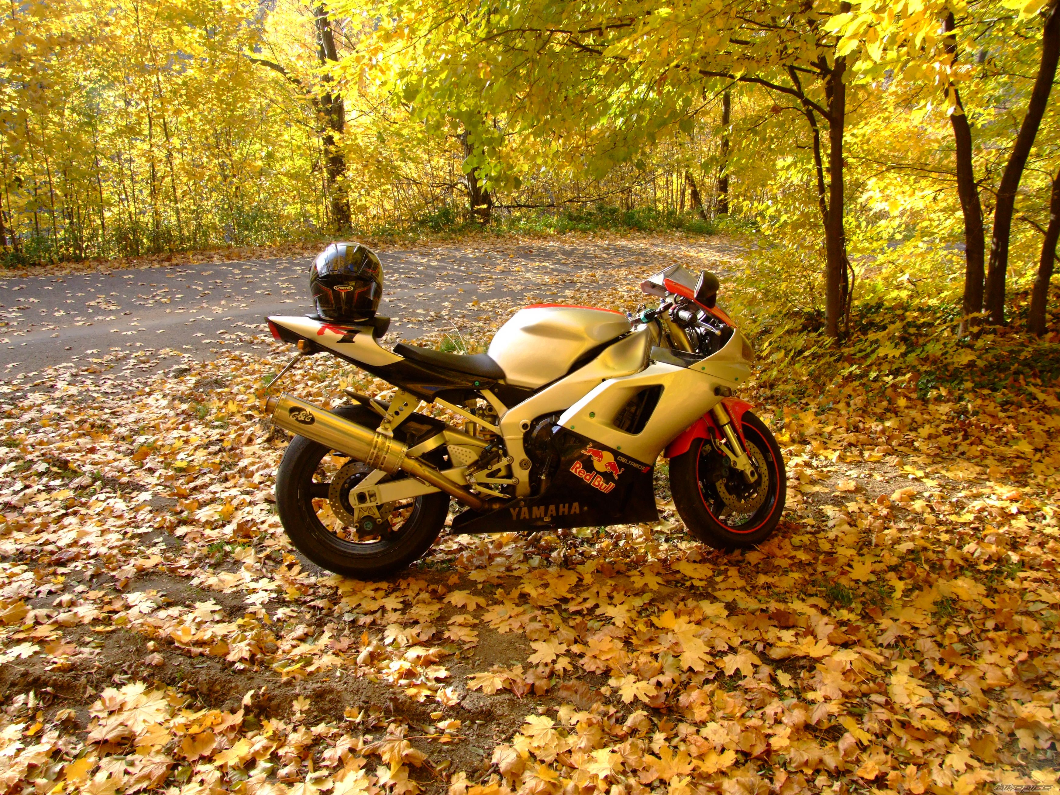 2000 YAMAHA YZF R1 | Picture 2298300 motorcycle photo