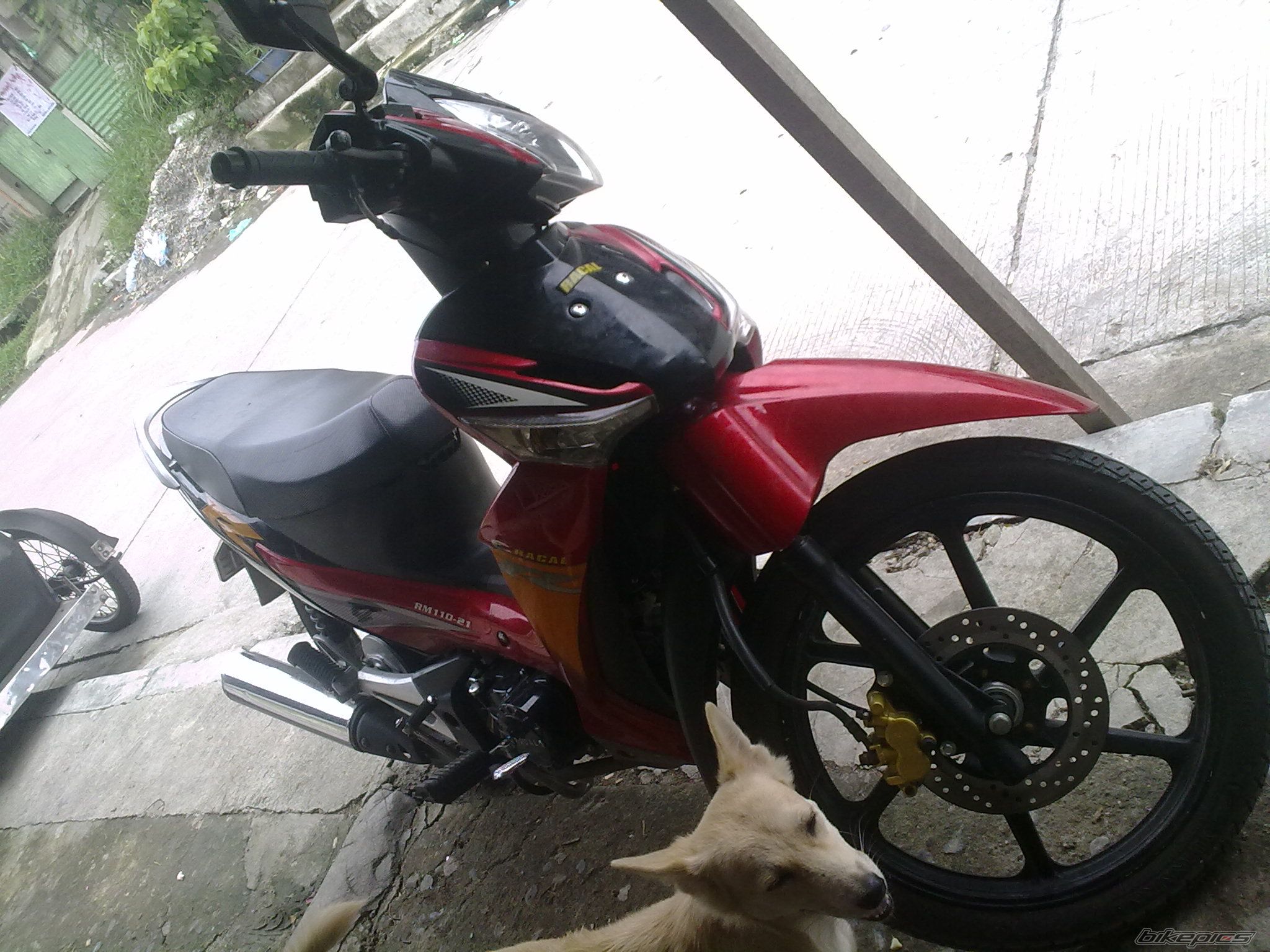 2009 SUZUKI SUZUKI RAIDER 150 | Picture 2298430 motorcycle photo