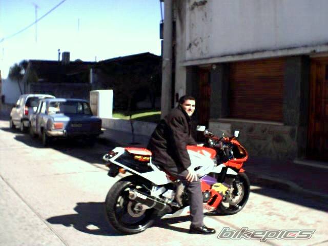 1988 HONDA CBR 400 | Picture 229845 motorcycle photo