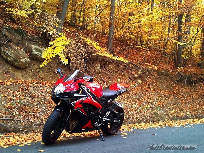 2006 SUZUKI GSX R 600 | Picture 2298477 motorcycle photo