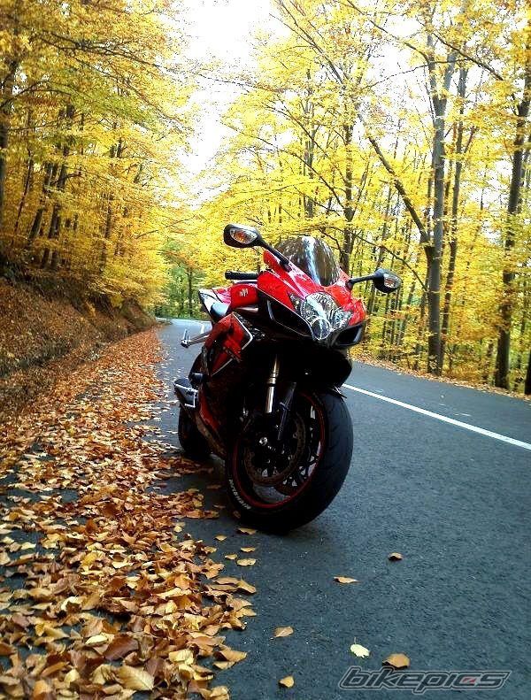 2006 SUZUKI GSX R 600 | Picture 2298478 motorcycle photo