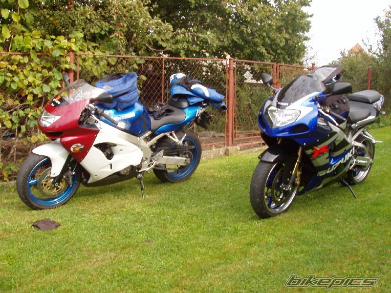 2002 SUZUKI GSX R 1000 | Picture 229854 motorcycle photo