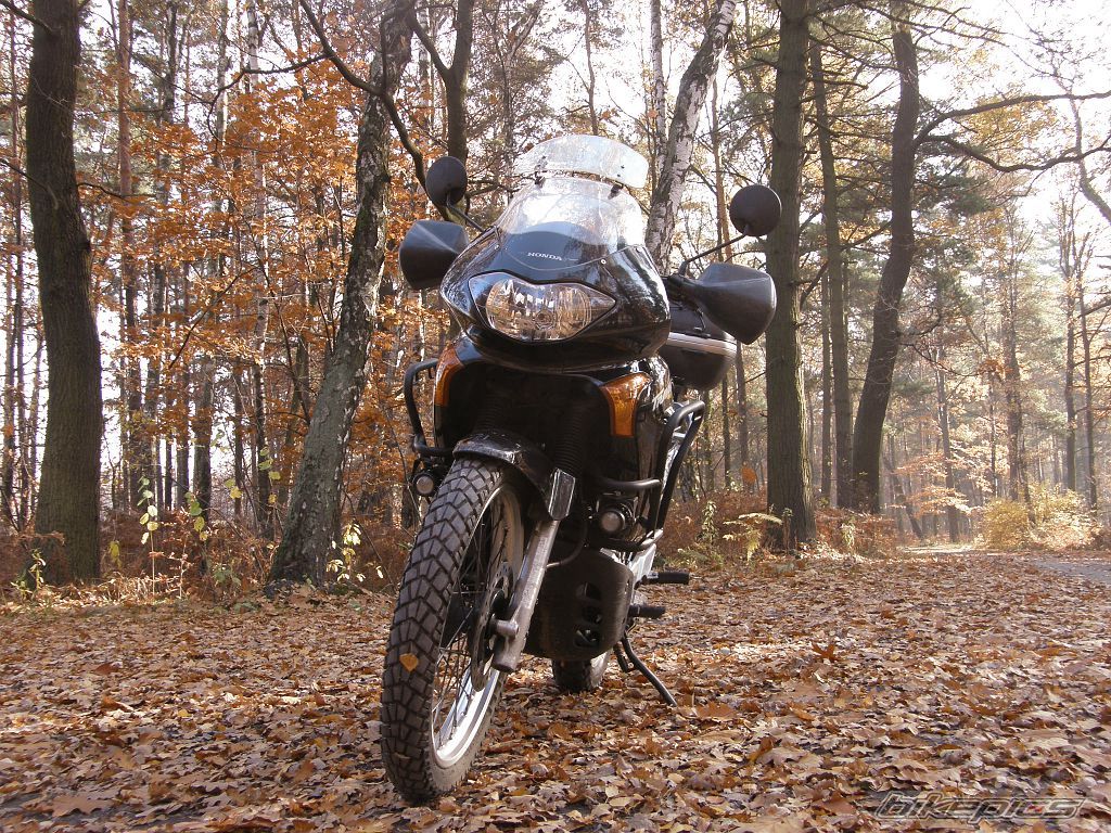 2004 HONDA XL 650V TRANSALP | Picture 2298554 motorcycle photo