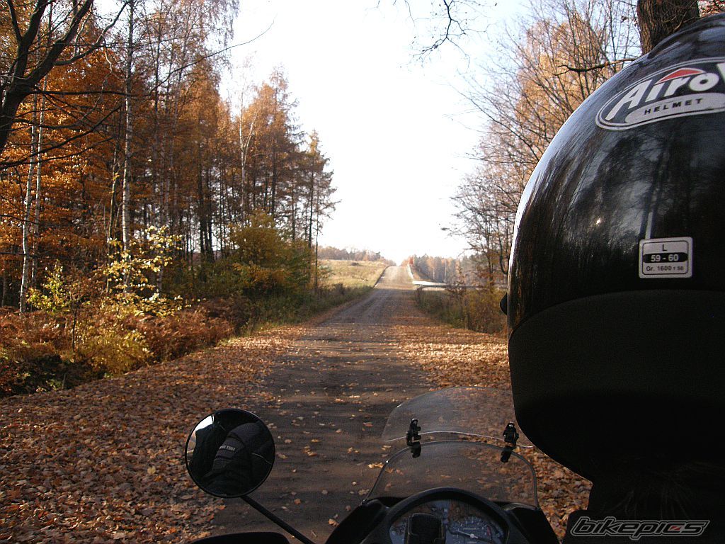2004 HONDA XL 650V TRANSALP | Picture 2298557 motorcycle photo