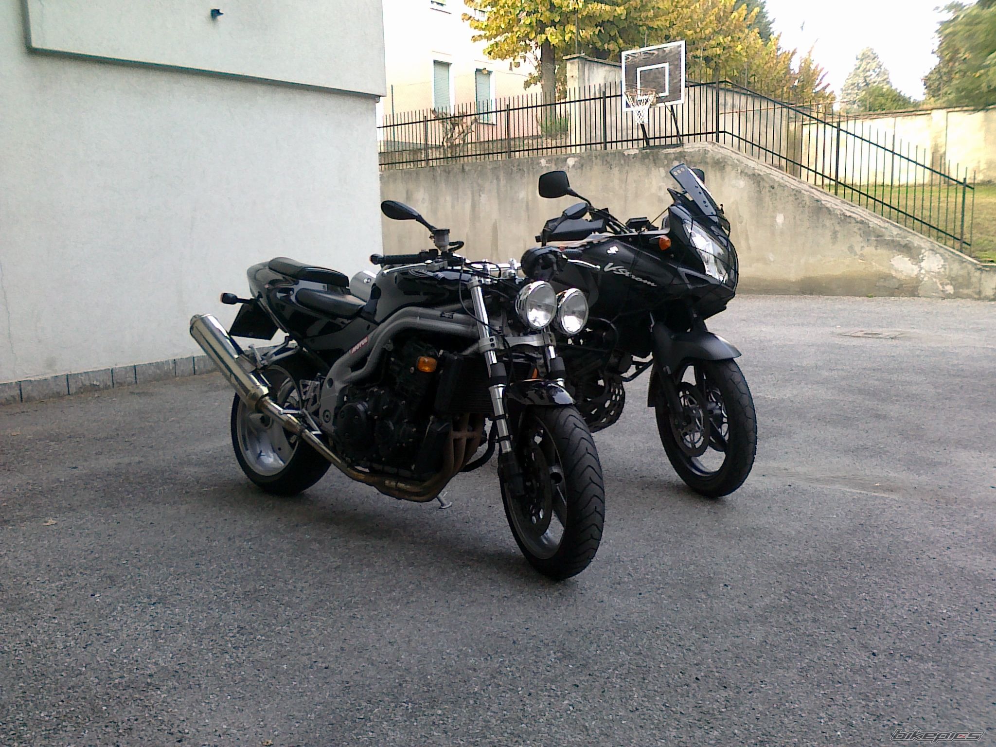 2003 TRIUMPH SPEED TRIPLE | Picture 2298822 motorcycle photo
