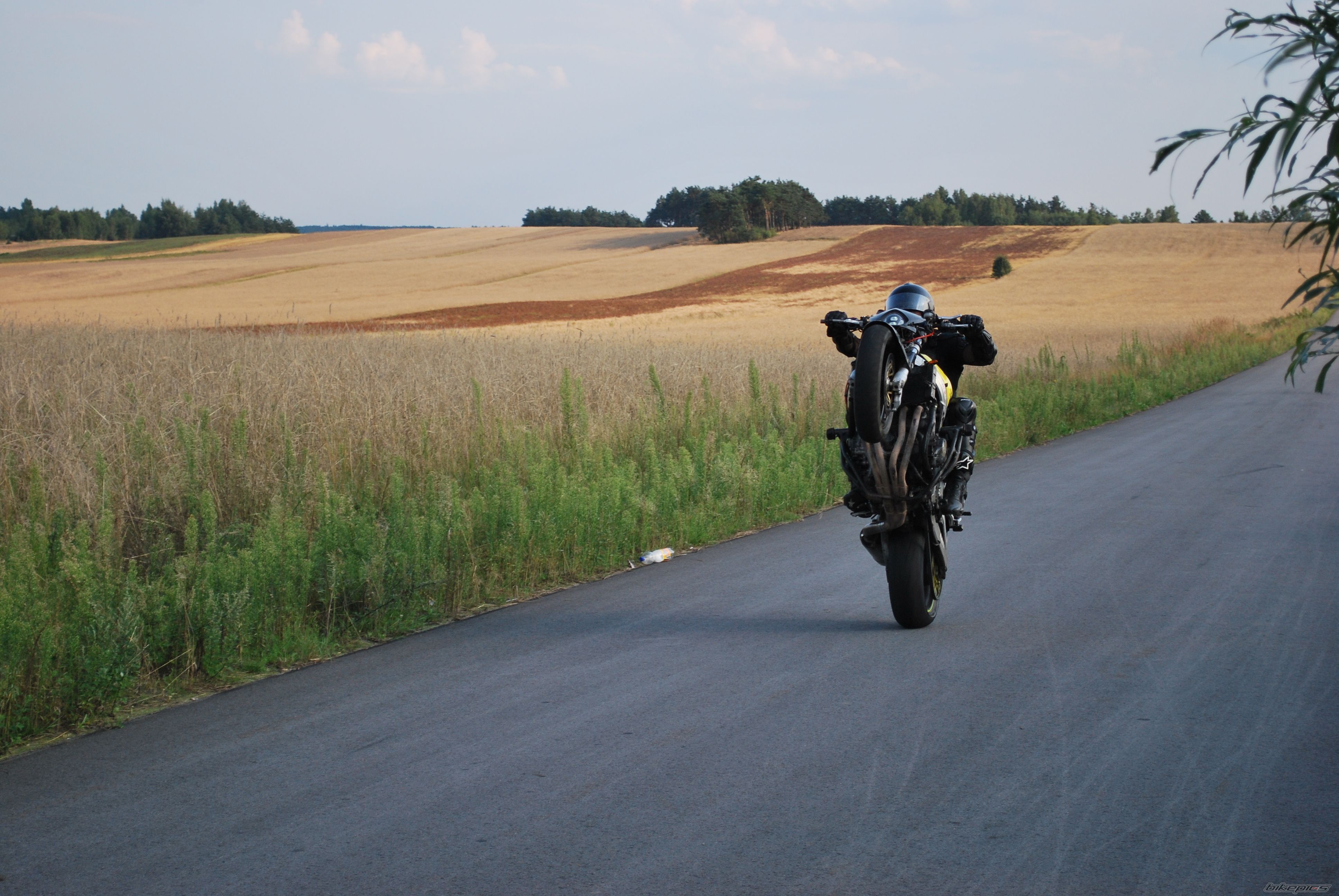 1998 HONDA CBR 900RR FIREBLADE | Picture 2299058 motorcycle photo