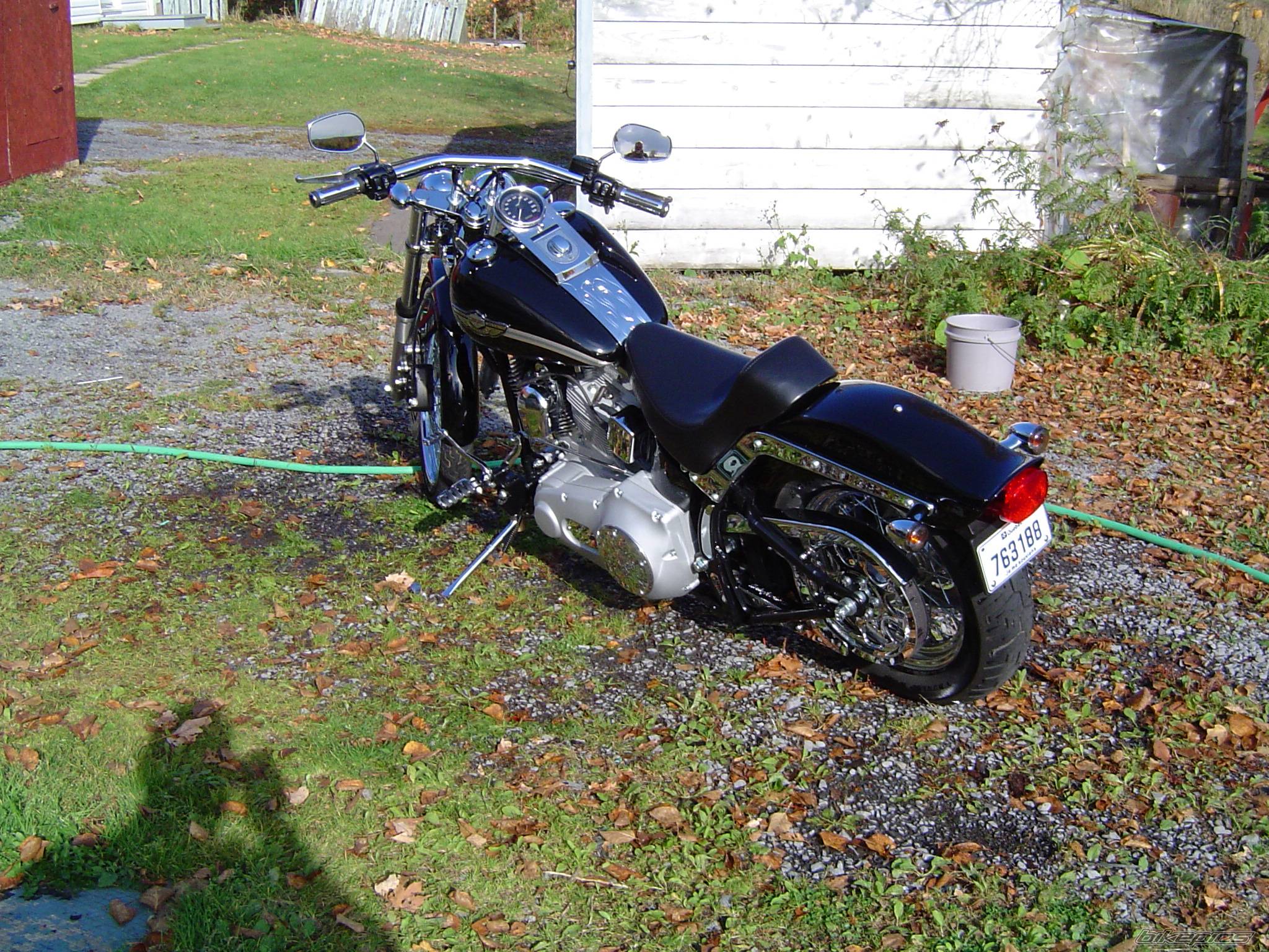 2003 HARLEY DAVIDSON FXST | Picture 229908 motorcycle photo
