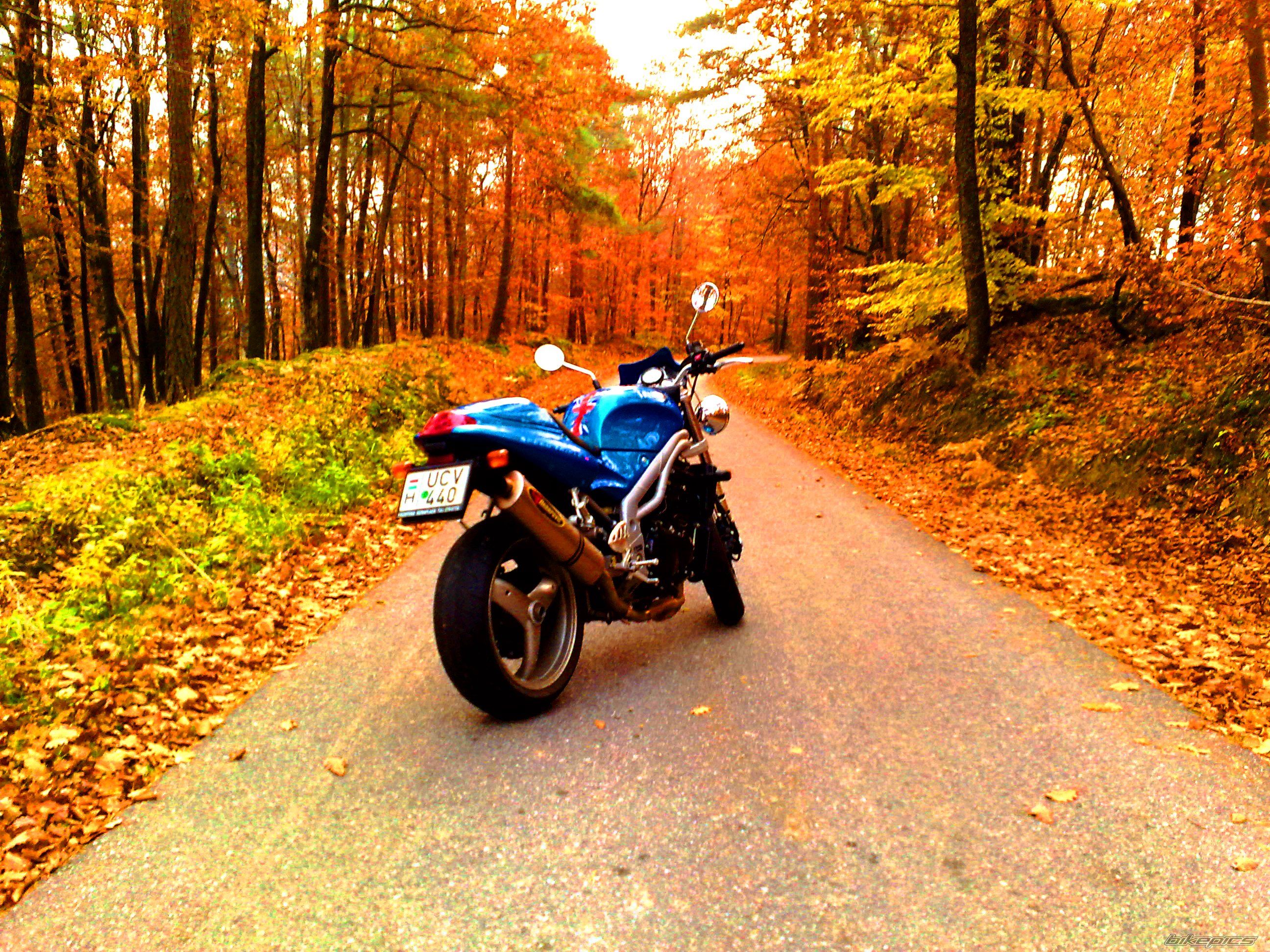 2001 TRIUMPH SPEED TRIPLE | Picture 2299192 motorcycle photo