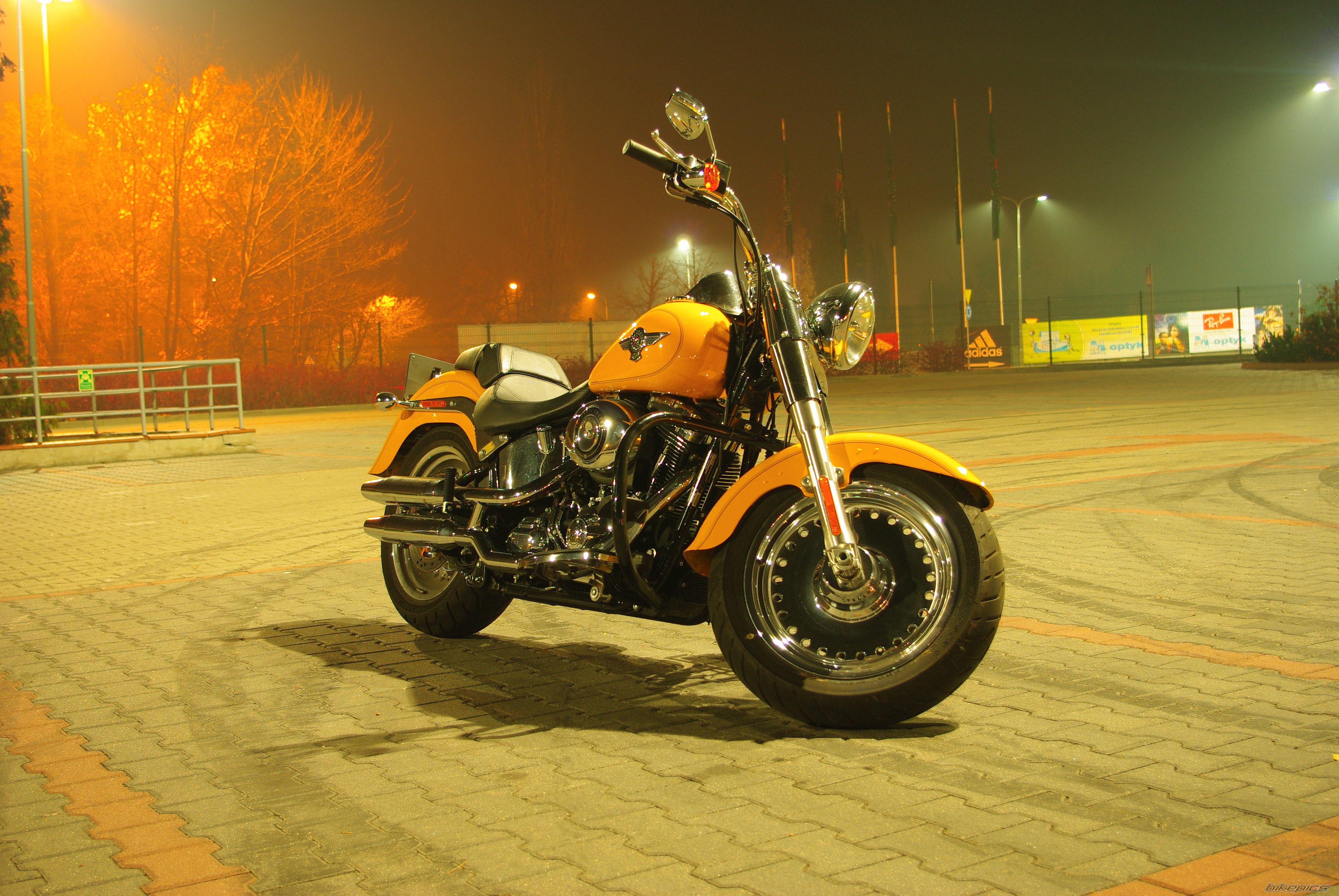 2011 HARLEY DAVIDSON FAT BOY ANNIVERSARY ED. | Picture 2299245 motorcycle photo