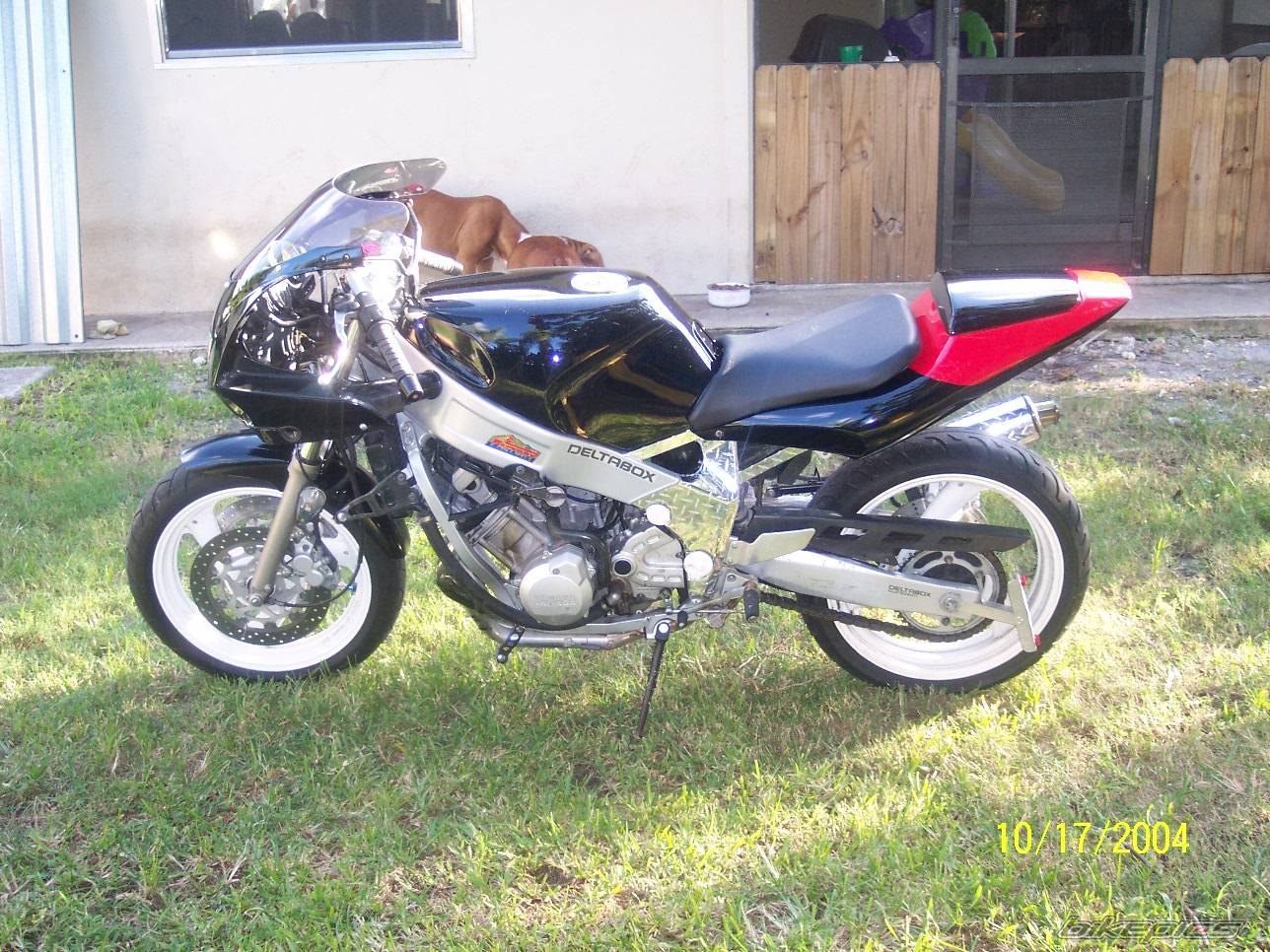1991 YAMAHA FZR 600 | Picture 229999 motorcycle photo