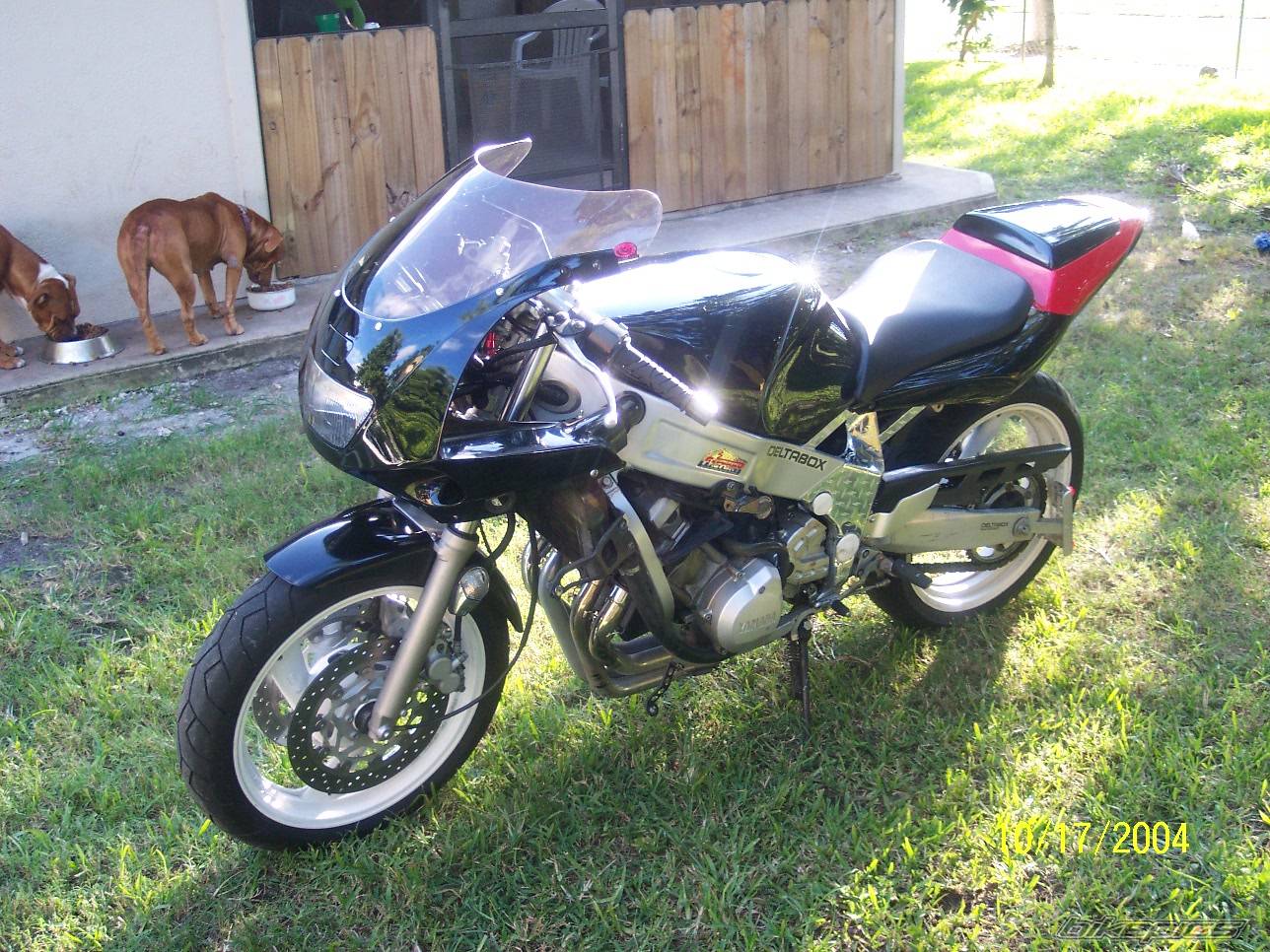 1991 YAMAHA FZR 600 | Picture 230000 motorcycle photo