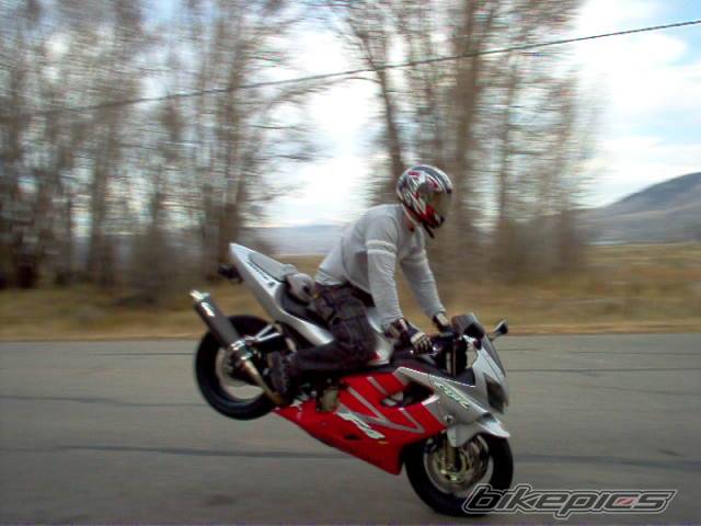 2002 HONDA CBR 600 | Picture 230009 motorcycle photo