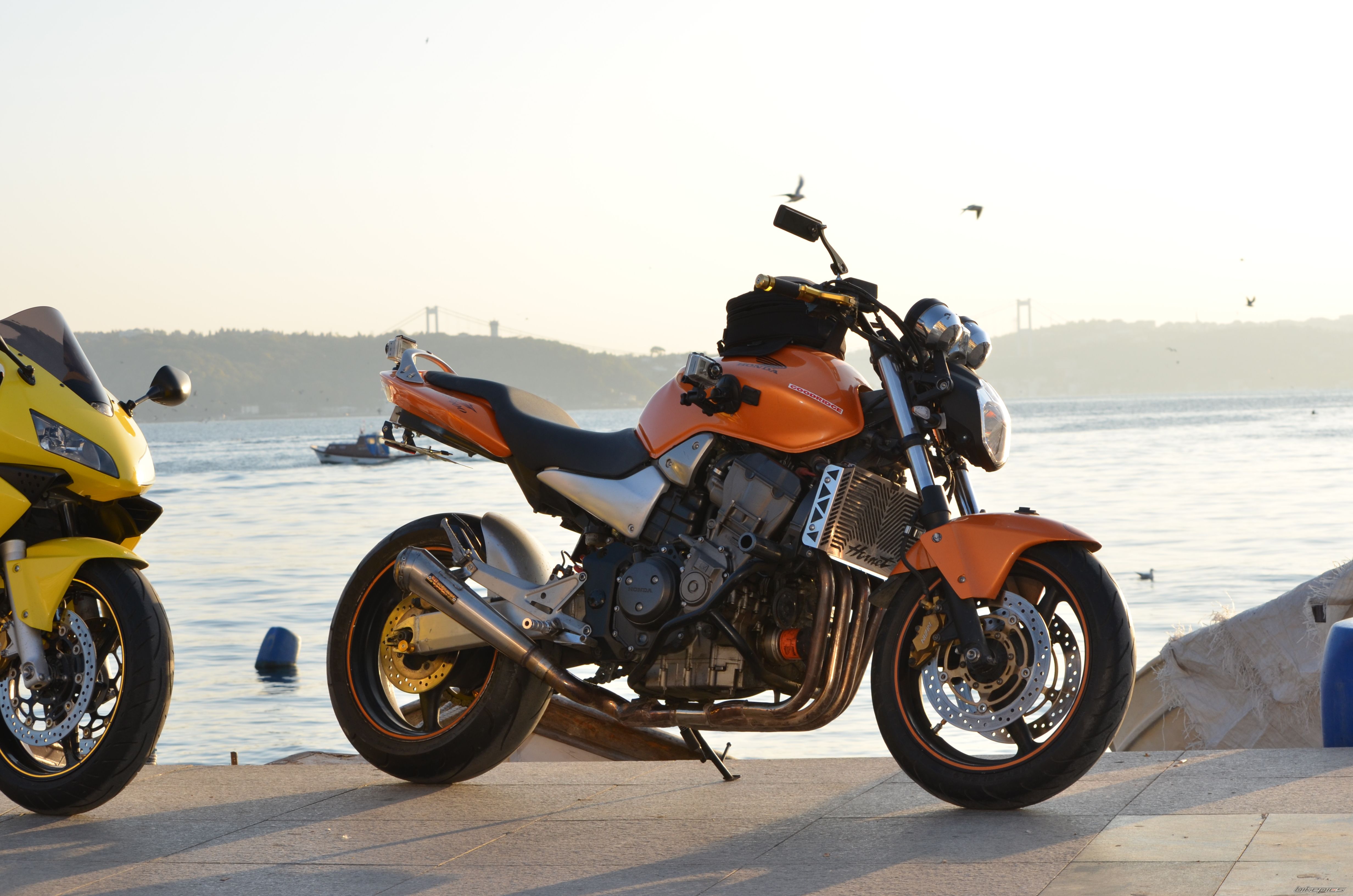 2005 HONDA CB 900 | Picture 2300458 motorcycle photo