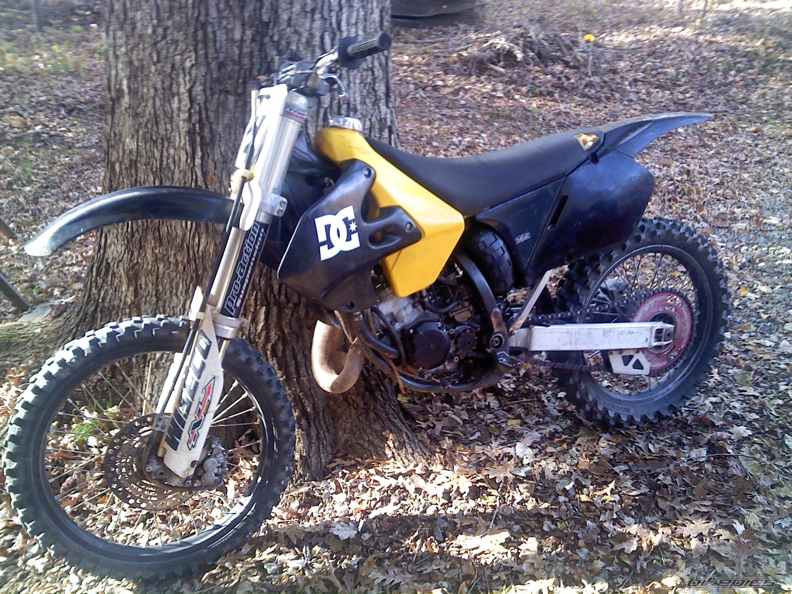 1999 SUZUKI RM 125 | Picture 2300510 motorcycle photo