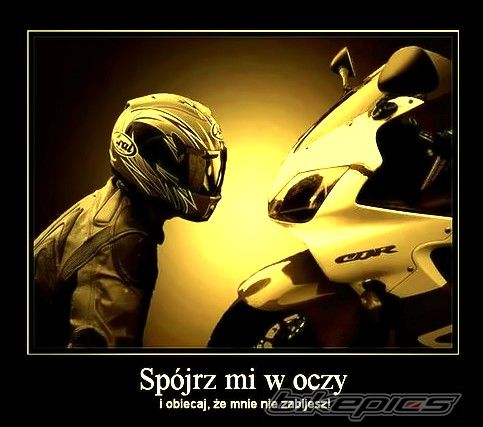    | Picture 2300749 motorcycle photo