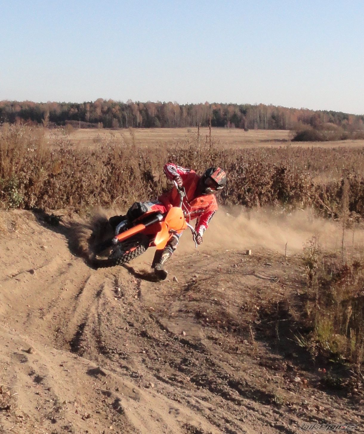 2006 KTM 125 SX | Picture 2300843 motorcycle photo