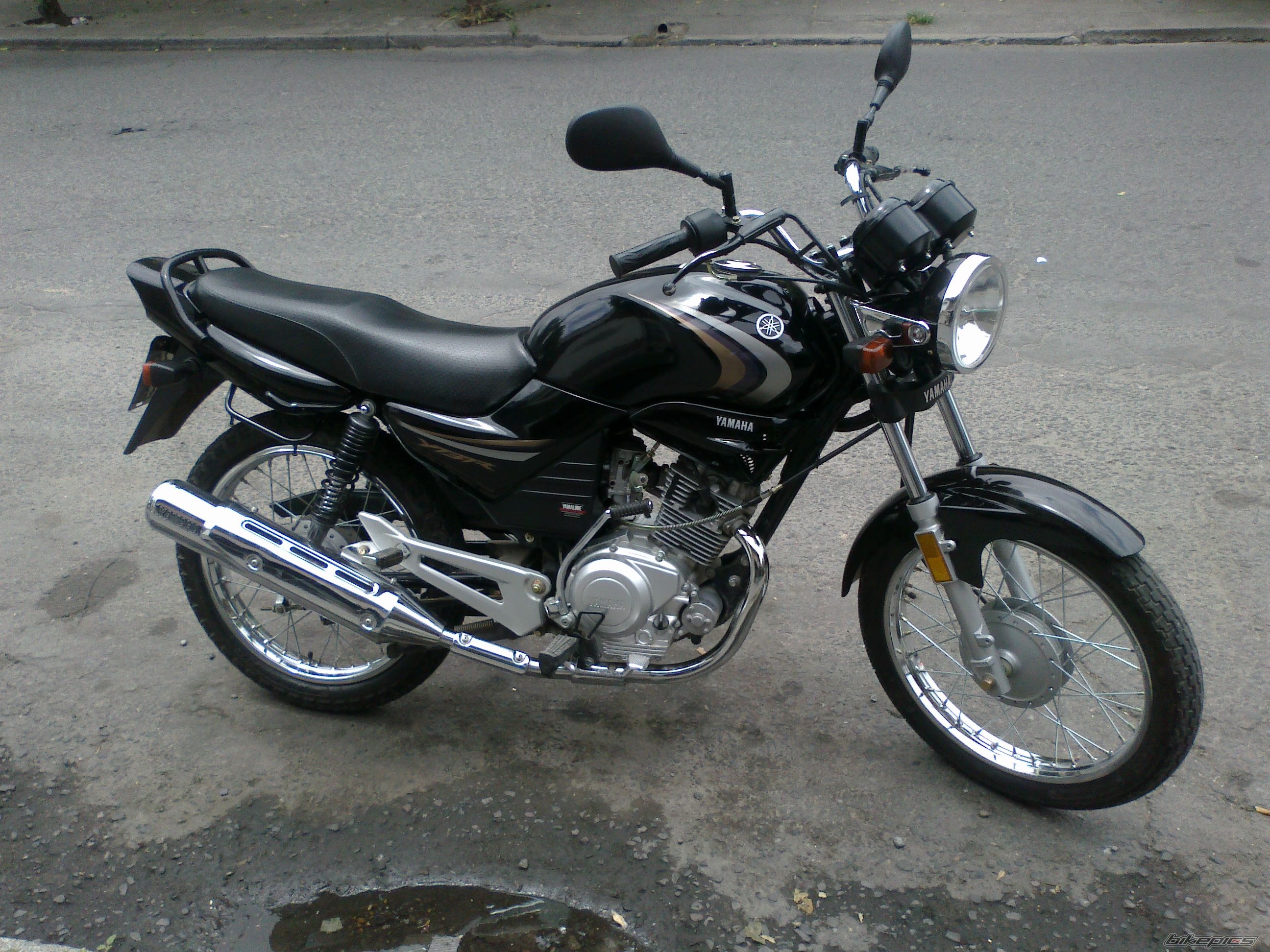 2010 YAMAHA YBR 125 | Picture 2301049 motorcycle photo