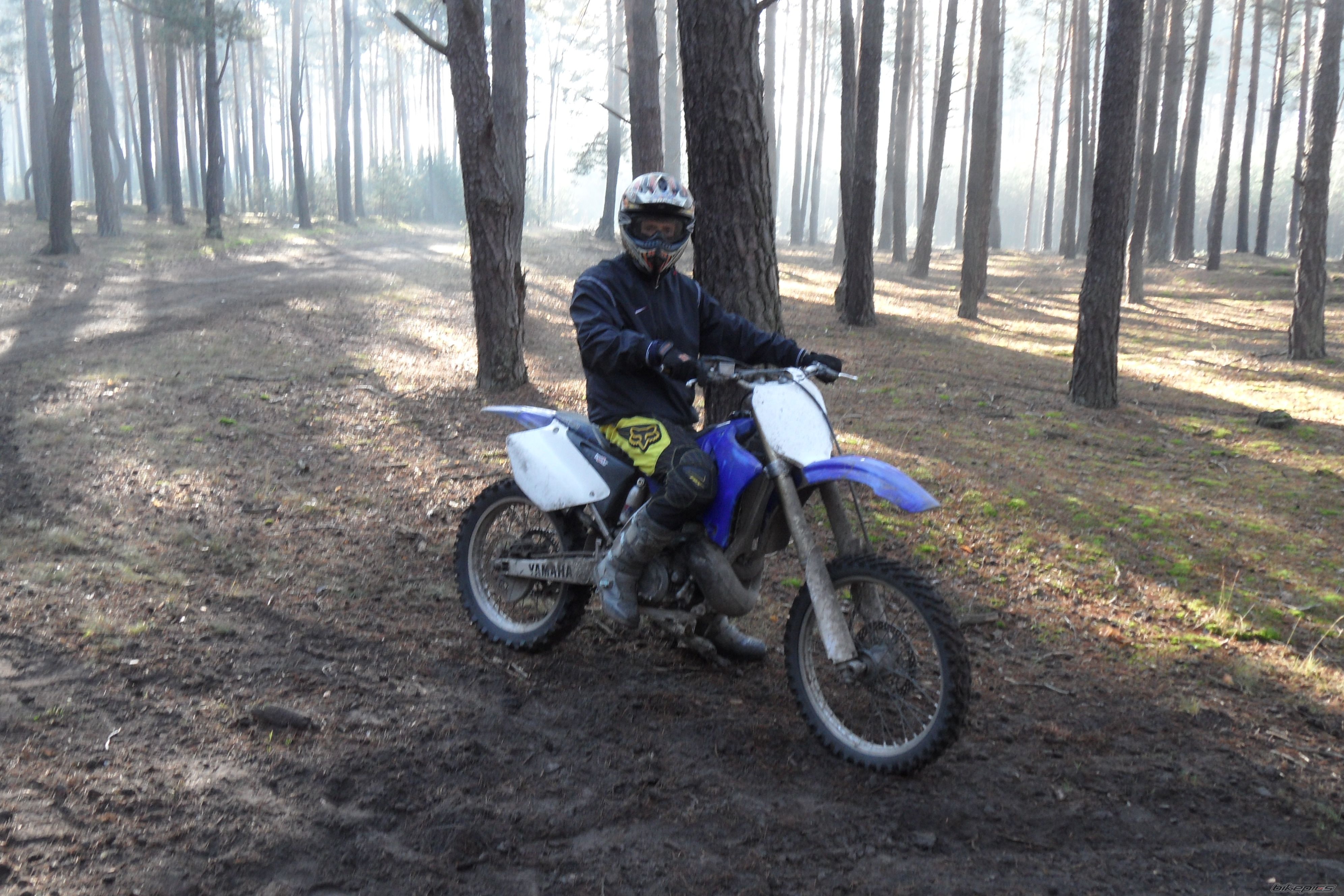 2005 YAMAHA YZ 250 | Picture 2301893 motorcycle photo