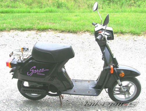 1986 HONDA SPREE | Picture 2302450 motorcycle photo