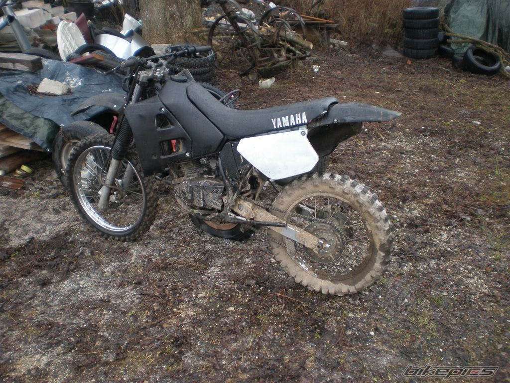 1992 YAMAHA DT 125 | Picture 2302847 motorcycle photo