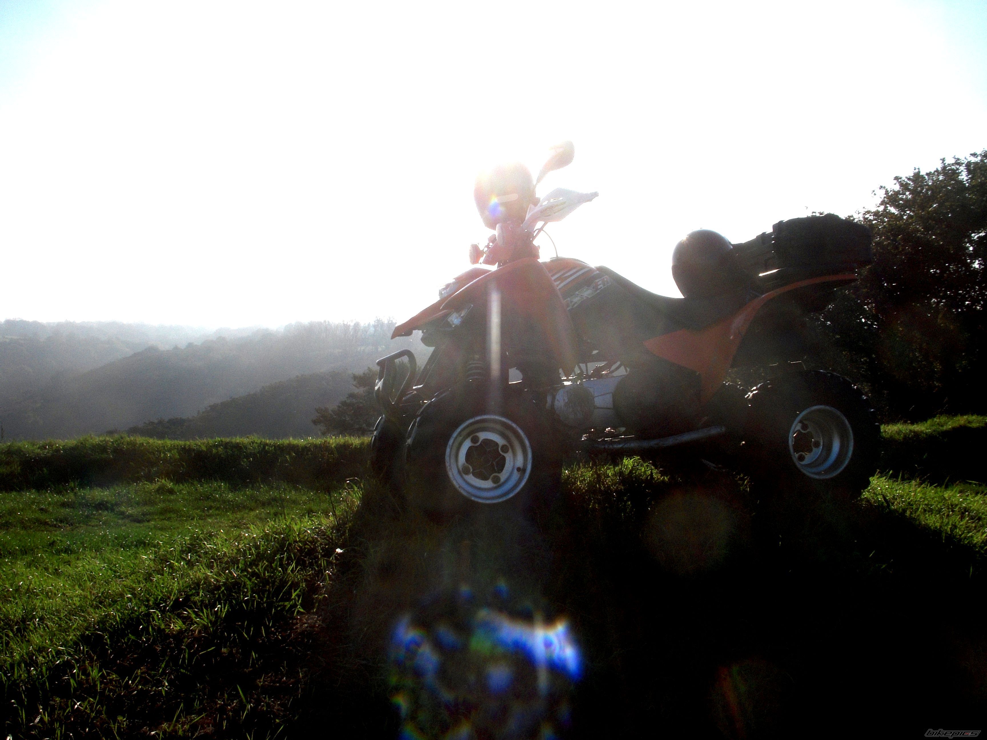 2009 KYMCO MAXXER | Picture 2303133 motorcycle photo