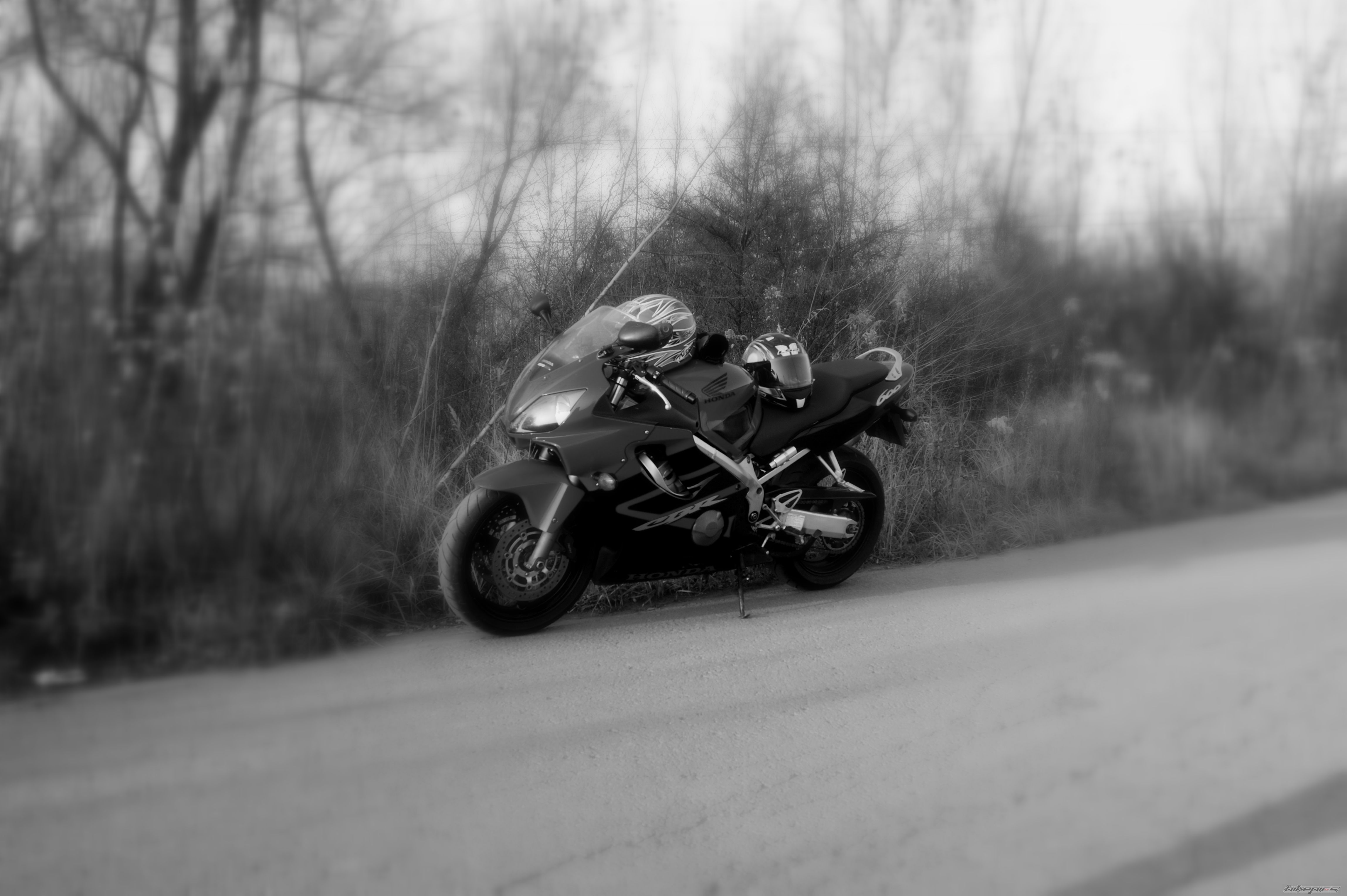 2006 HONDA CBR 600 FS | Picture 2303968 motorcycle photo