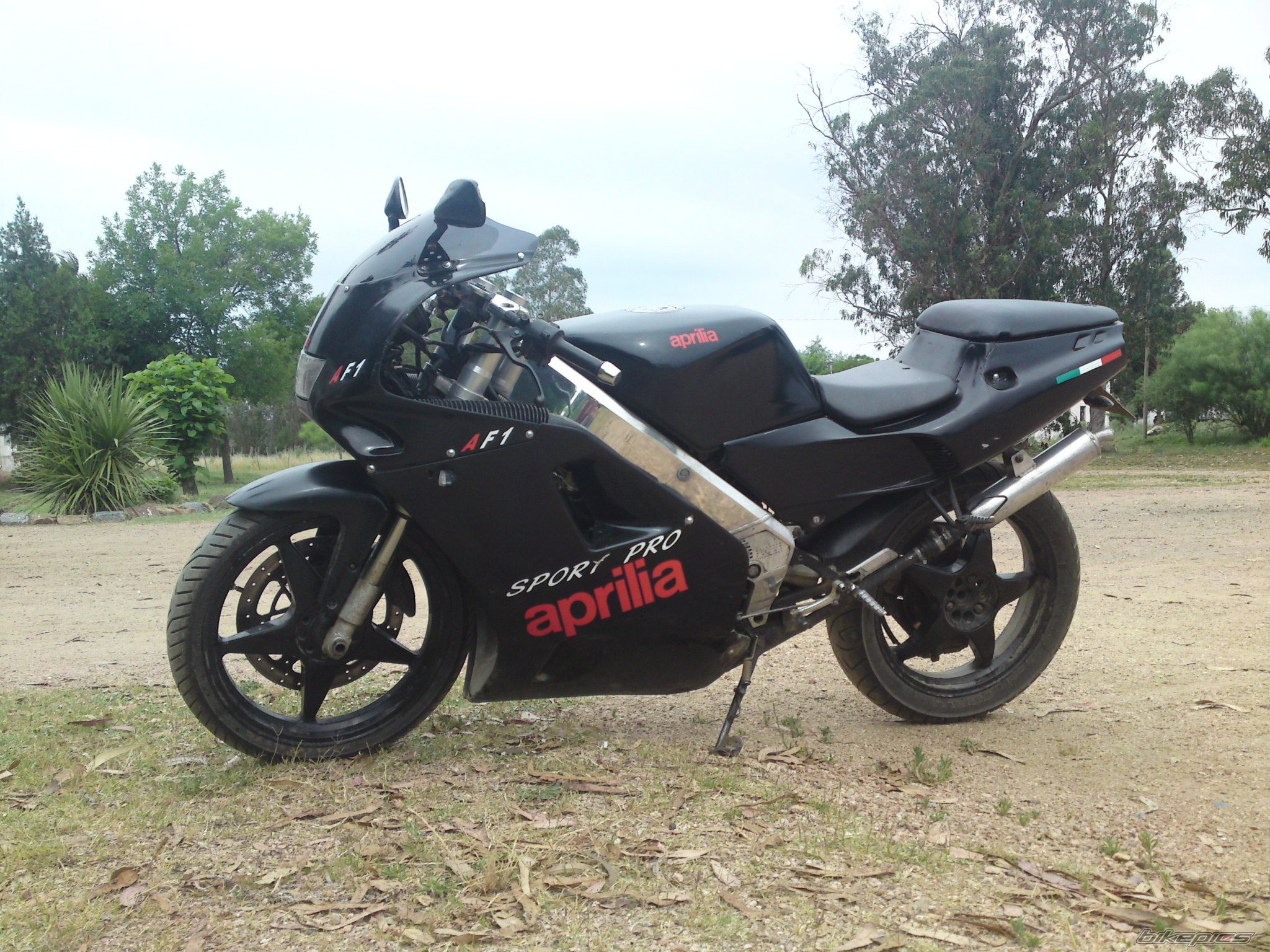 1993 APRILIA AF1 SPORT PRO 125 | Picture 2304969 motorcycle photo