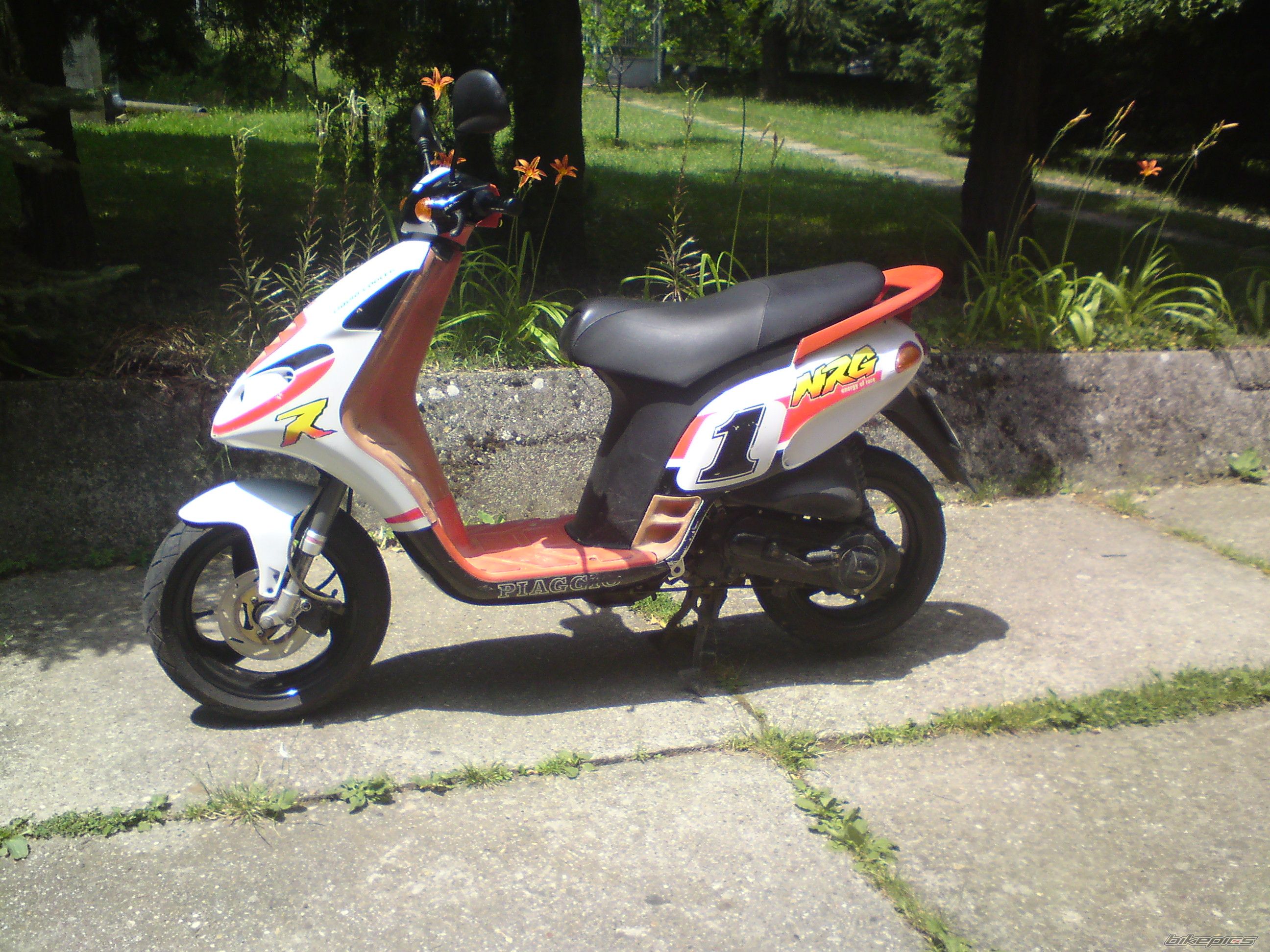    | Picture 2304996 motorcycle photo