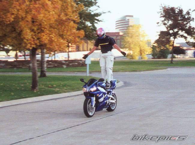 1999 YAMAHA YZF R1 | Picture 2305 motorcycle photo