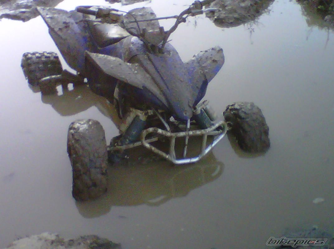 2005 YAMAHA YFZ 450 | Picture 2305105 motorcycle photo