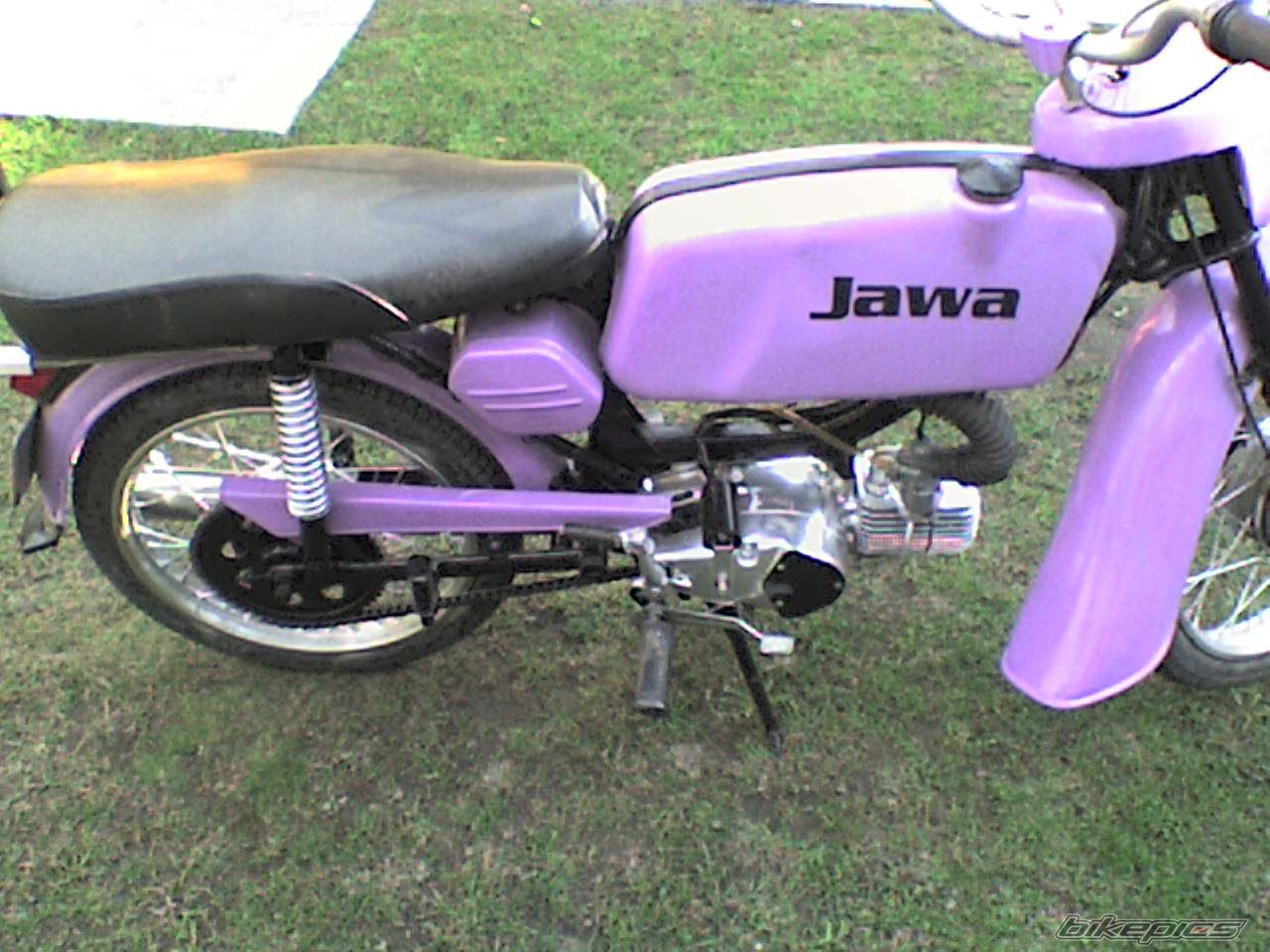 1979 JAWA MUSTANG 50 | Picture 2305530 motorcycle photo