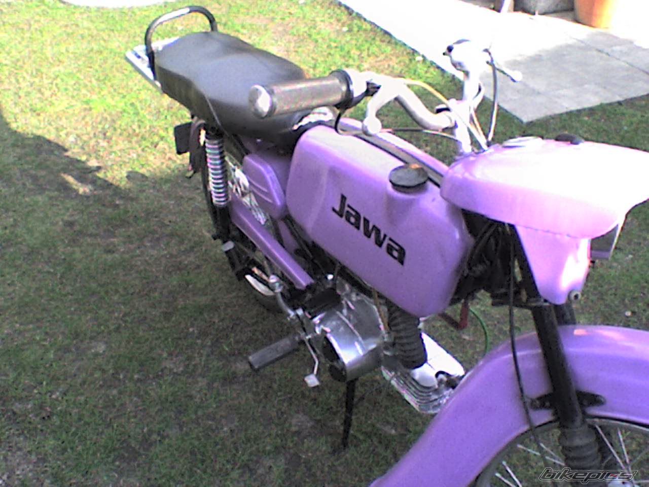 1979 JAWA MUSTANG 50 | Picture 2305531 motorcycle photo