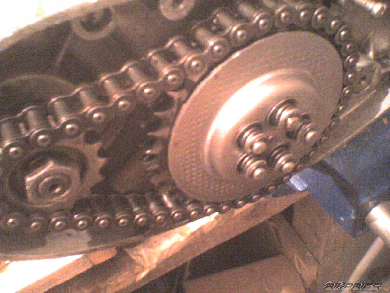 1979 JAWA MUSTANG 50 | Picture 2305534 motorcycle photo