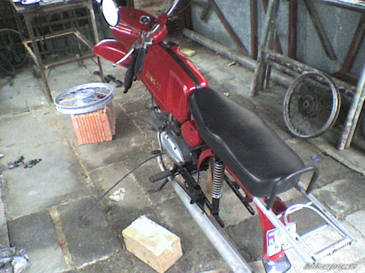 1979 JAWA MUSTANG 50 | Picture 2305537 motorcycle photo