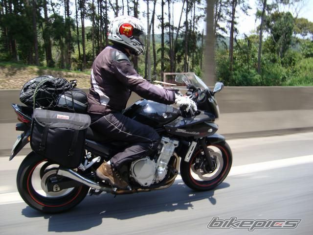 2008 SUZUKI GSF 650S BANDIT | Picture 2307066 motorcycle photo