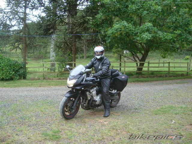 2008 SUZUKI GSF 650S BANDIT | Picture 2307068 motorcycle photo