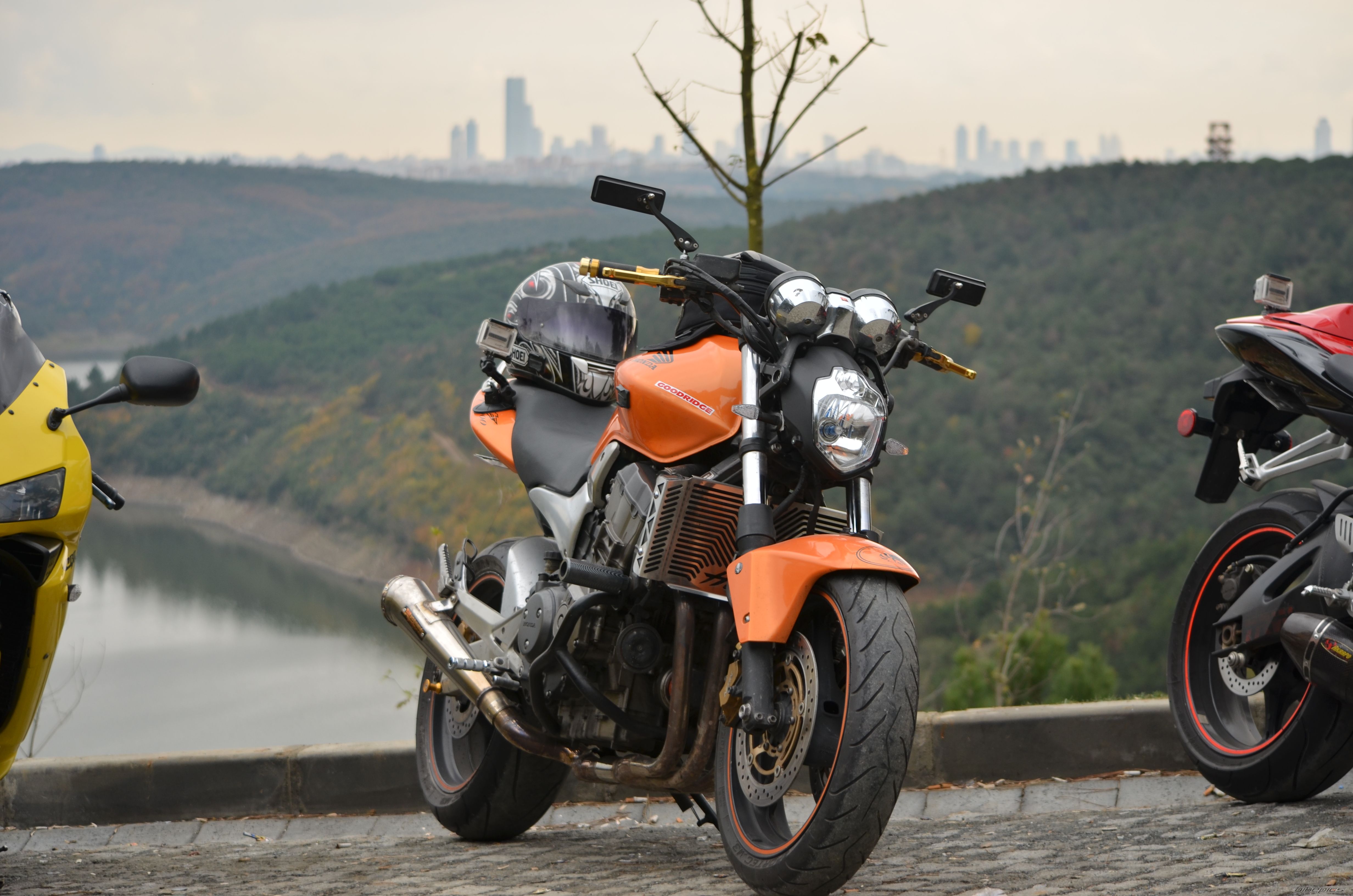 2005 HONDA CB 900 | Picture 2307394 motorcycle photo