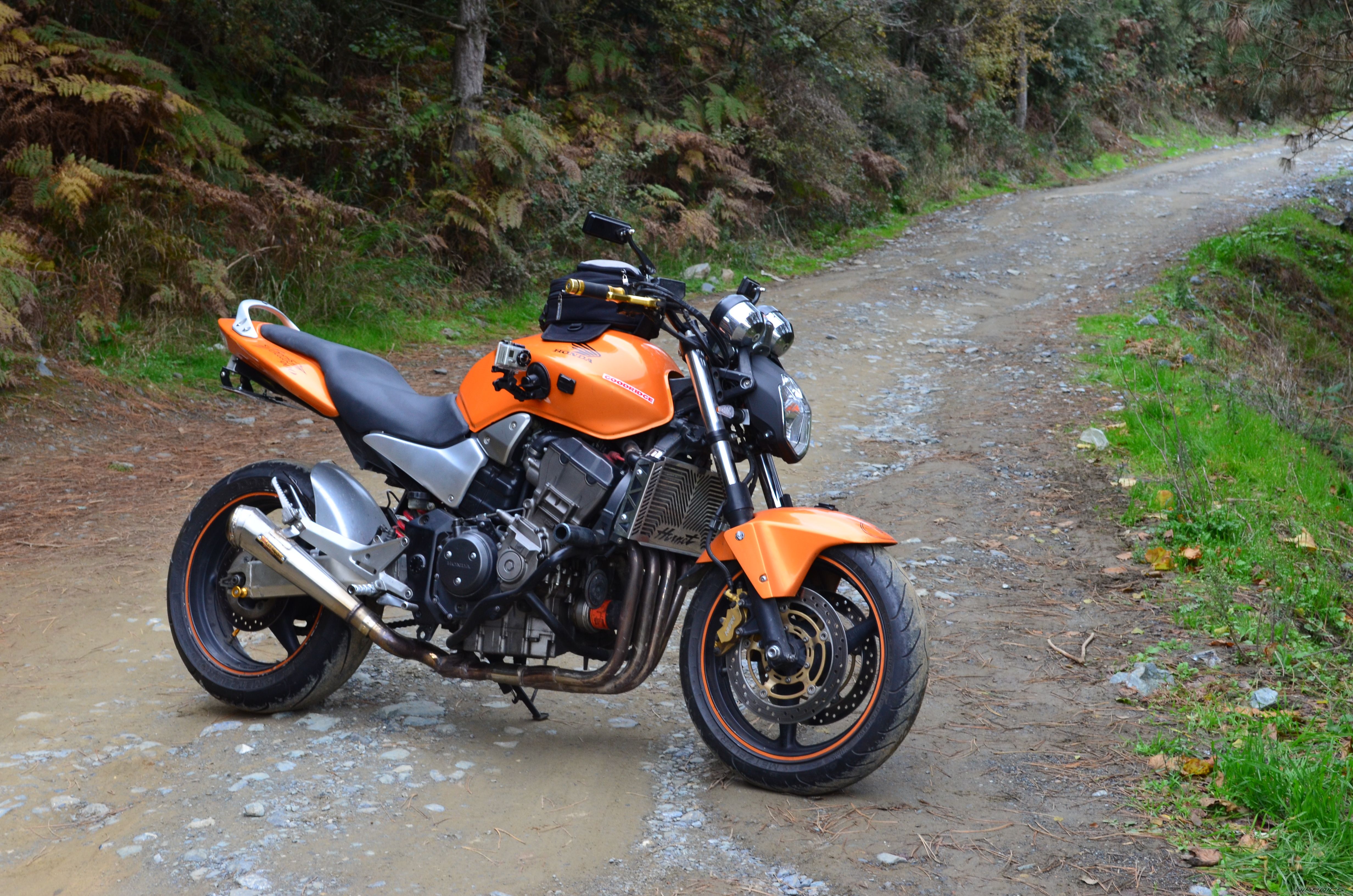 2005 HONDA CB 900 | Picture 2307410 motorcycle photo