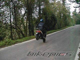1996 PIAGGIO ZIP | Picture 23077 motorcycle photo