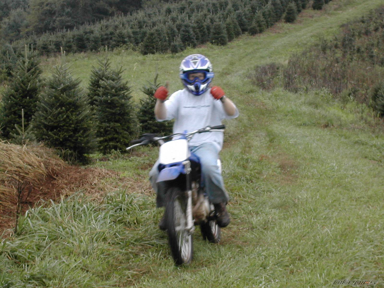 2001 YAMAHA TTR 125 | Picture 230794 motorcycle photo