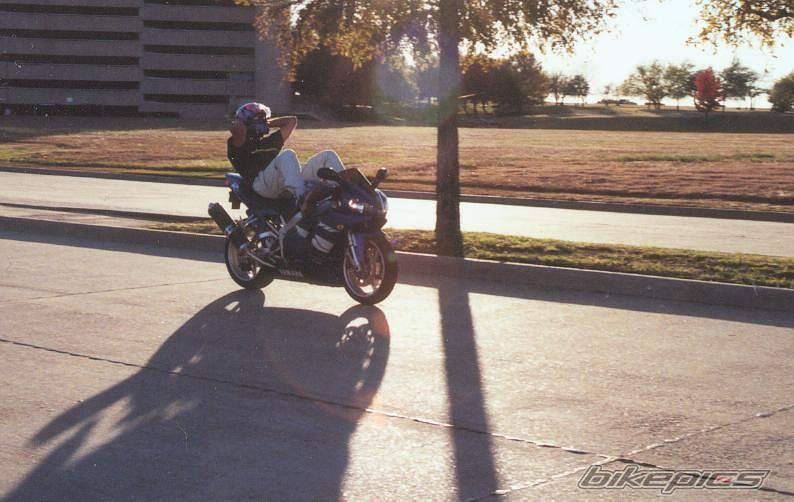 1999 YAMAHA YZF R1 | Picture 2308 motorcycle photo