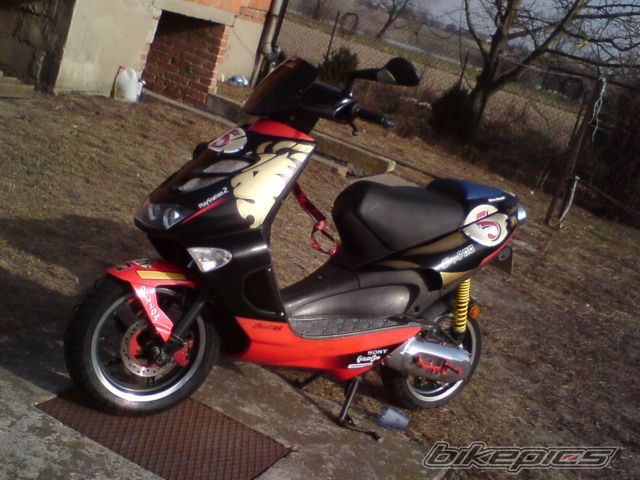 2004 APRILIA SR WWW 50 | Picture 2308063 motorcycle photo