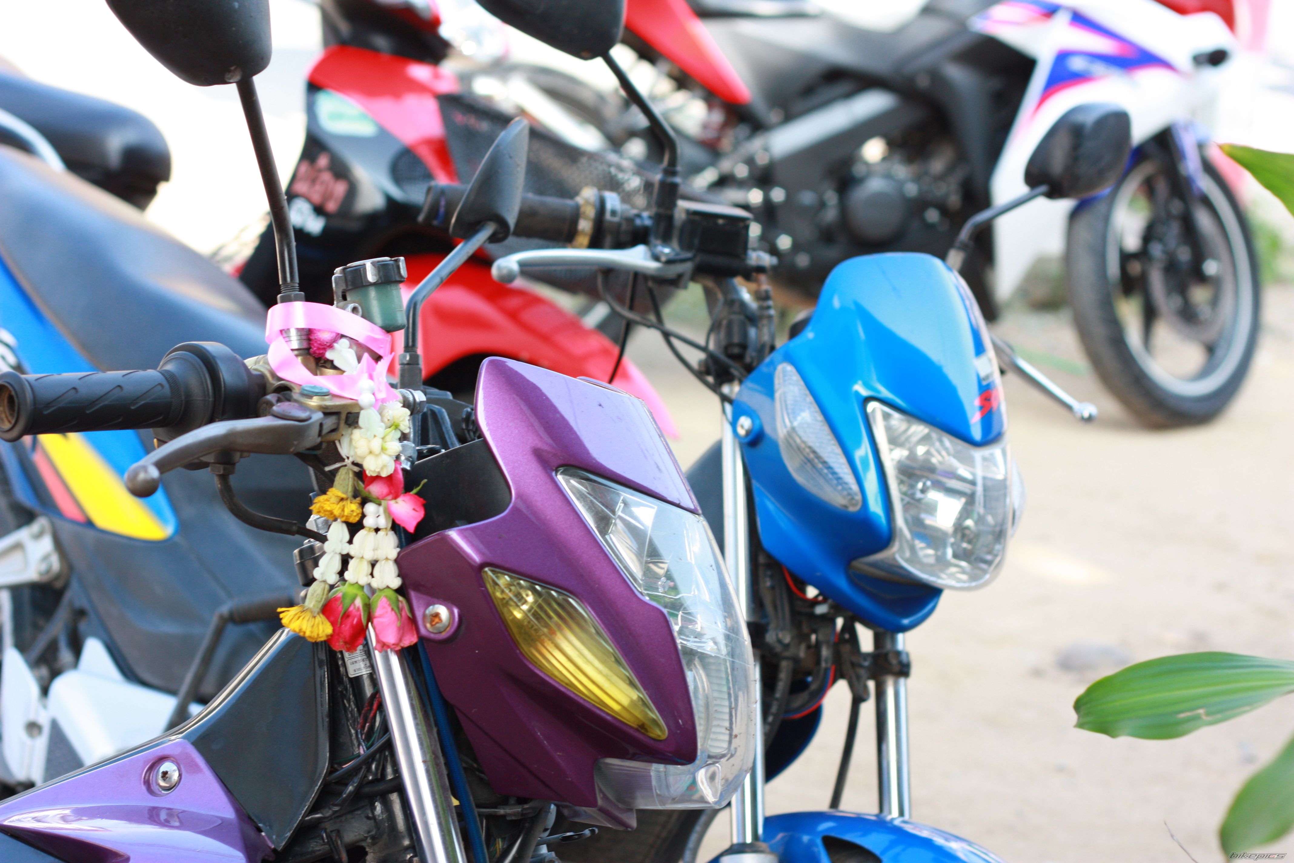 2006 HONDA RS SONIC 125 | Picture 2308102 motorcycle photo