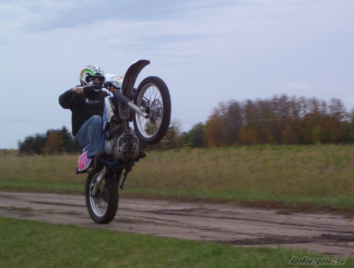 1992 SUZUKI DR 350 | Picture 230857 motorcycle photo