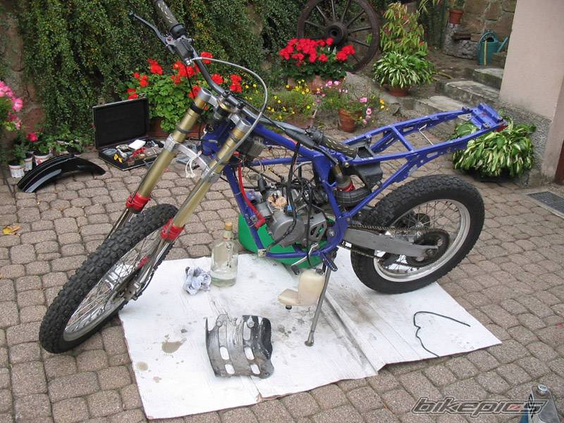 1996 DERBI SENDA R 50 | Picture 230880 motorcycle photo